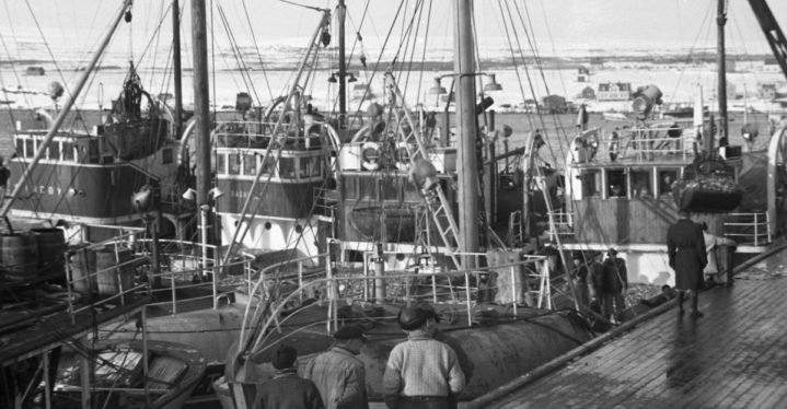 Formidling fra samlingene: Vadsø Sildeoljefabrikk AS