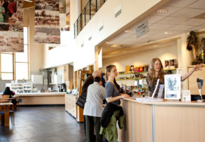 Sommerjobber på Grenselandmuseet i Kirkenes, Strand skoleinternat i Pasvik og Lassigården på Bugøynes