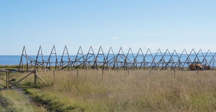 Bevaring av en kystkatedral