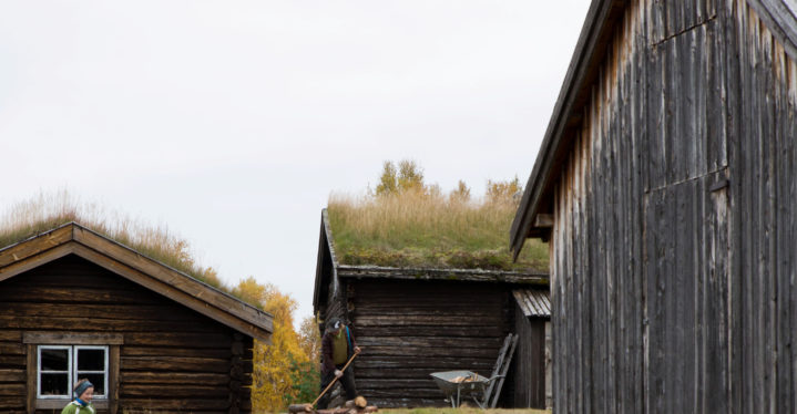 Sommertilbud ved Varanger museum