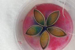 Hyvvää kväänikansan päivää!