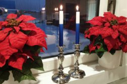 Hyvää itsenäisyyspäivää, Suomi-Finland!