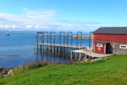 Forteller historien om nothjellene