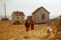 Forundringsvandring og fotokafé i Skallelv