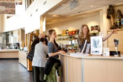 Ledige sommerjobber til ungdommer!