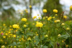 Besøk oss i sommer!