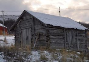 Dendrokronologisk datering av sjøsamisk naust i Sør-Varanger